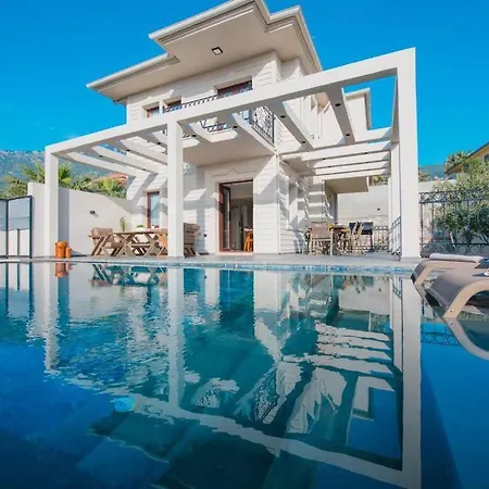 Havuzlu Korunakli Jakuzili Villa